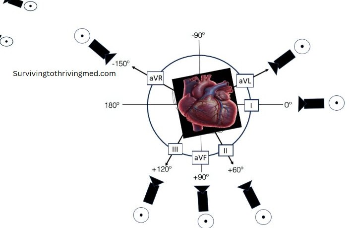 Frontal plane view — limb lead angles around the heart